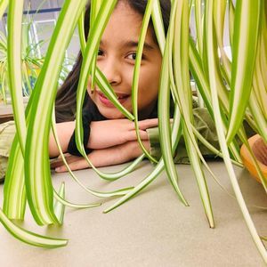 Meet your Posher, Kyla joy